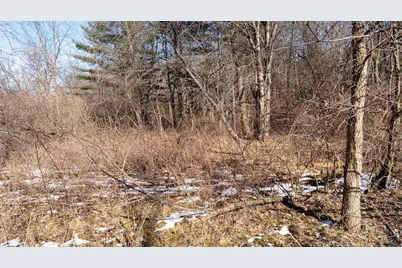 W7113 Leigh Road, Mauston, WI 53948 - Photo 56