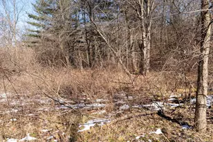 W7113 Leigh Rd, Mauston, WI 53948 - Photo 56