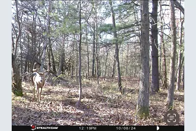 W7113 Leigh Road, Mauston, WI 53948 - Photo 28