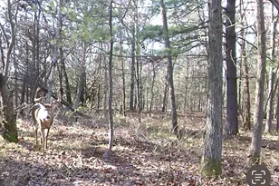 W7113 Leigh Rd, Mauston, WI 53948 - Photo 28