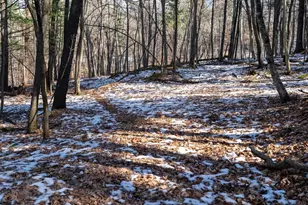 W7113 Leigh Rd, Mauston, WI 53948 - Photo 38