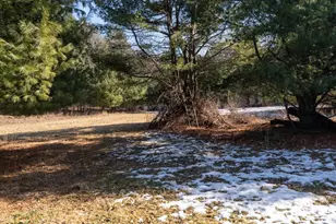 W7113 Leigh Rd, Mauston, WI 53948 - Photo 68