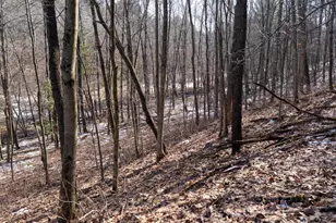 W7113 Leigh Rd, Mauston, WI 53948 - Photo 58