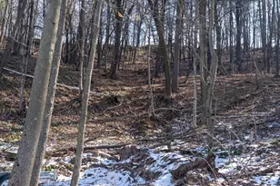 W7113 Leigh Rd, Mauston, WI 53948 - Photo 74