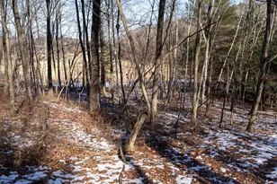 W7113 Leigh Rd, Mauston, WI 53948 - Photo 60