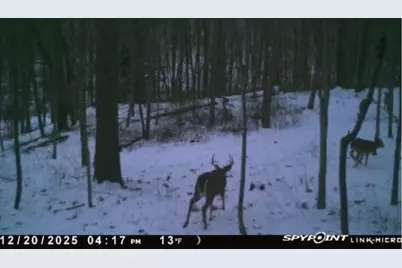 W7113 Leigh Road, Mauston, WI 53948 - Photo 32