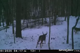 W7113 Leigh Rd, Mauston, WI 53948 - Photo 32