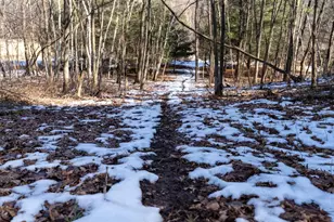 W7113 Leigh Rd, Mauston, WI 53948 - Photo 60