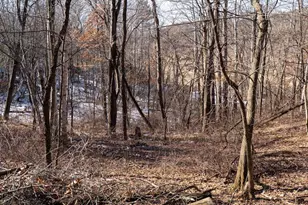 W7113 Leigh Rd, Mauston, WI 53948 - Photo 72