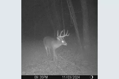 W7113 Leigh Road, Mauston, WI 53948 - Photo 24