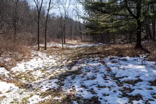 W7113 Leigh Rd, Mauston, WI 53948 - Photo 62