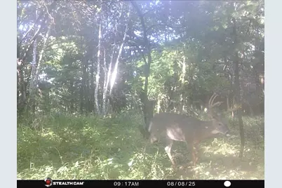 W7113 Leigh Road, Mauston, WI 53948 - Photo 30