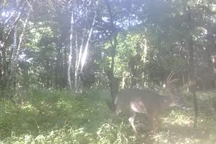 W7113 Leigh Rd, Mauston, WI 53948 - Photo 30