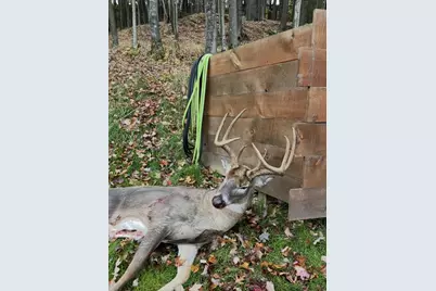 W7113 Leigh Road, Mauston, WI 53948 - Photo 22