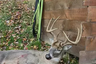 W7113 Leigh Rd, Mauston, WI 53948 - Photo 22