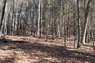 W7113 Leigh Rd, Mauston, WI 53948 - Photo 48