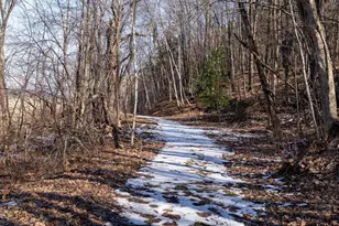 W7113 Leigh Rd, Mauston, WI 53948 - Photo 72