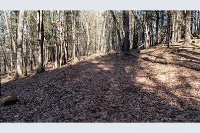 W7113 Leigh Road, Mauston, WI 53948 - Photo 36