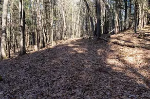 W7113 Leigh Rd, Mauston, WI 53948 - Photo 36