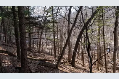 W7113 Leigh Road, Mauston, WI 53948 - Photo 42