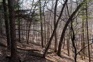 W7113 Leigh Rd, Mauston, WI 53948 - Photo 42