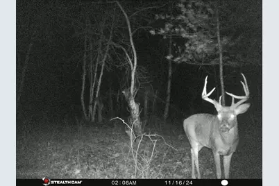 W7113 Leigh Road, Mauston, WI 53948 - Photo 30