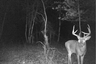 W7113 Leigh Rd, Mauston, WI 53948 - Photo 30