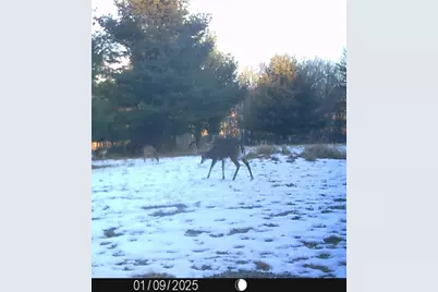 W7113 Leigh Road, Mauston, WI 53948 - Photo 20