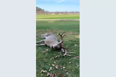 W7113 Leigh Road, Mauston, WI 53948 - Photo 24