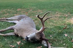 W7113 Leigh Rd, Mauston, WI 53948 - Photo 24