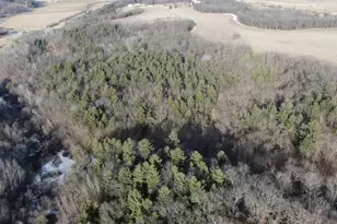 W7113 Leigh Rd, Mauston, WI 53948 - Photo 2