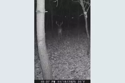 W7113 Leigh Road, Mauston, WI 53948 - Photo 28