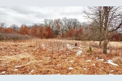 73+/- Acres Germantown Road, New Lisbon, WI 53950 - Photo 28