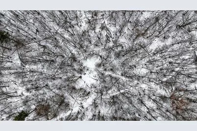 73+/- Acres Germantown Road, New Lisbon, WI 53950 - Photo 8