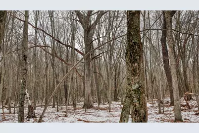 73+/- Acres Germantown Road, New Lisbon, WI 53950 - Photo 54