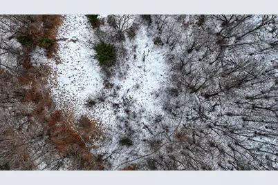 73+/- Acres Germantown Road, New Lisbon, WI 53950 - Photo 48