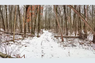 73+/- Acres Germantown Road, New Lisbon, WI 53950 - Photo 18