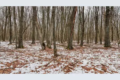 73+/- Acres Germantown Road, New Lisbon, WI 53950 - Photo 44