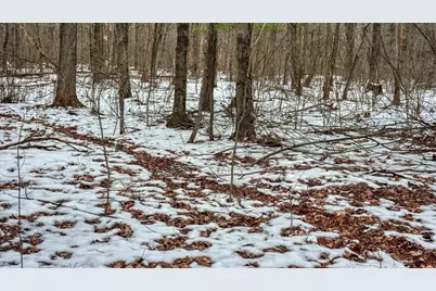 73+/- Acres Germantown Road, New Lisbon, WI 53950 - Photo 52