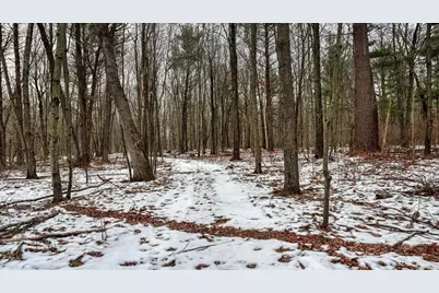 73+/- Acres Germantown Road, New Lisbon, WI 53950 - Photo 24