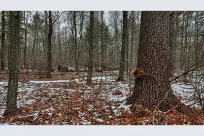 73+/- Acres Germantown Road, New Lisbon, WI 53950 - Photo 6