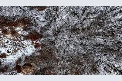 73+/- Acres Germantown Road, New Lisbon, WI 53950 - Photo 14