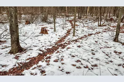 73+/- Acres Germantown Road, New Lisbon, WI 53950 - Photo 4