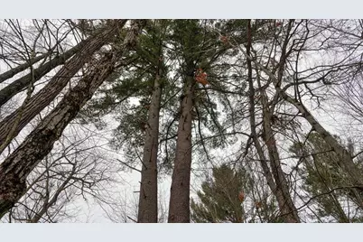 73+/- Acres Germantown Road, New Lisbon, WI 53950 - Photo 20