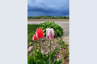 W3959 North Street, Mindoro, WI 54644 - Photo 20