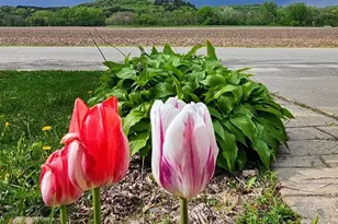 W3959 North St, Mindoro, WI 54644 - Photo 20