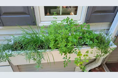 N7929 Doty Drive, Ripon, WI 54971 - Photo 68