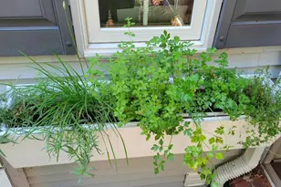 N7929 Doty Dr, Ripon, WI 54971 - Photo 68