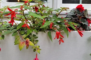 N7929 Doty Dr, Ripon, WI 54971 - Photo 70