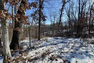 16410 Waltz Ln, Boscobel,  53805 - Photo 38